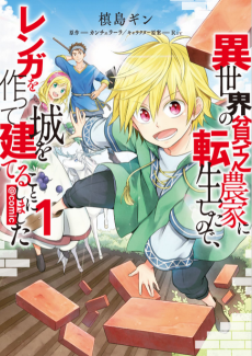 Battle Mage Farmer Cover Image