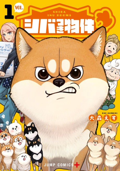 Shiba Inu Rooms Cover Image