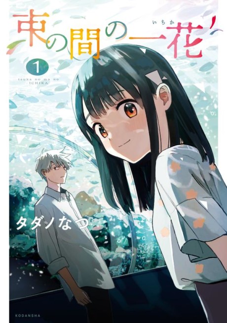 A Brief Moment of Ichika Cover Image