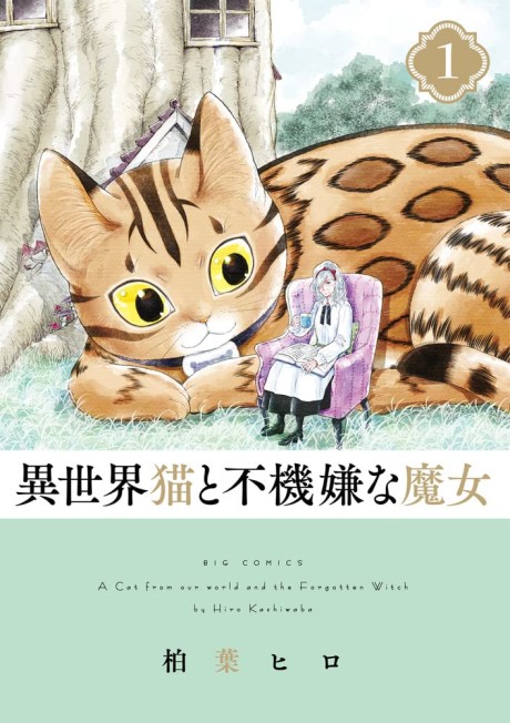 A Cat from Our World and the Forgotten Witch Cover Image