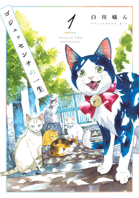 A Story of Seven Lives Cover Image