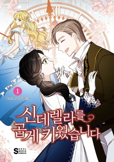 A Wicked Tale of Cinderella's Stepmom Cover Image